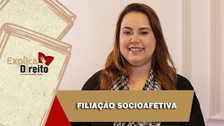 Explica Direito Filiação Socioafetiva  2019 [upl. by Erdnoed]