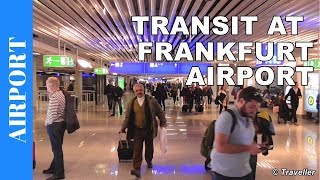 TRANSIT WALK AT FRANKFURT Airport FRA Terminal 1  Connection Flight Transfer Arriving amp Departing [upl. by Aneris411]